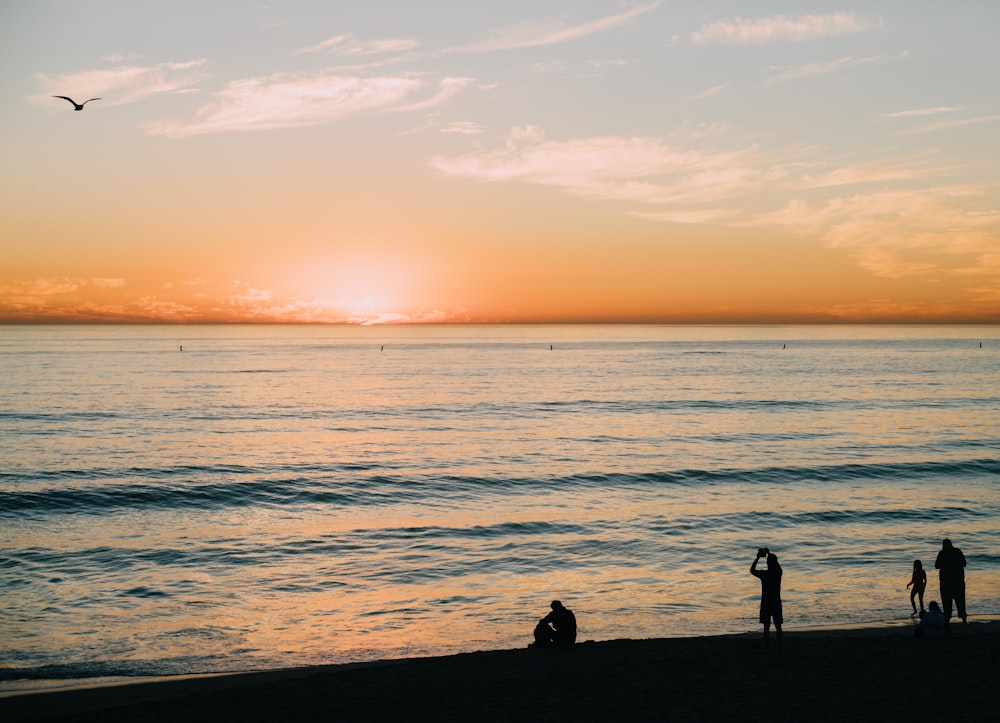 people on beach during sunrise