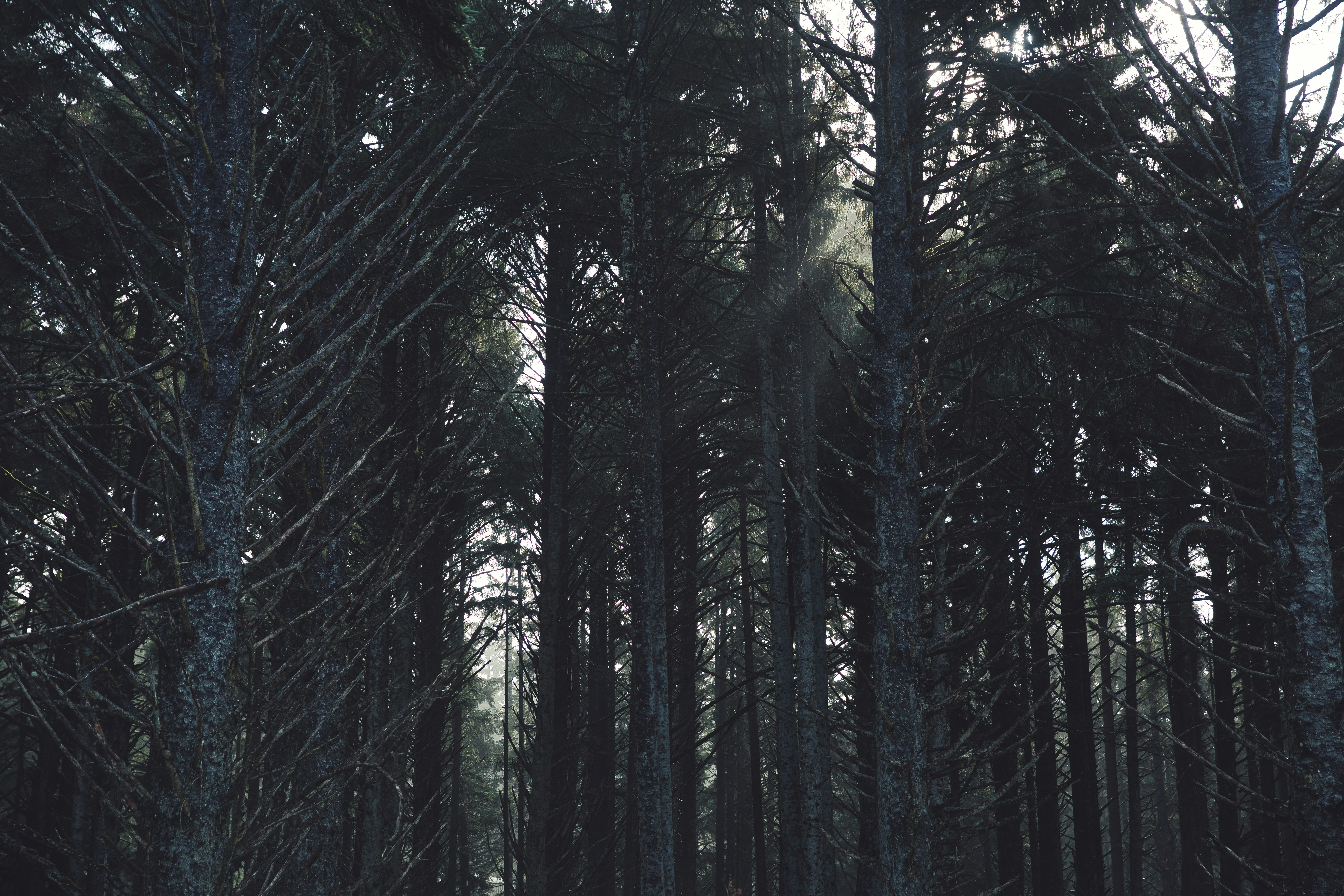 Photo by briansimcoe