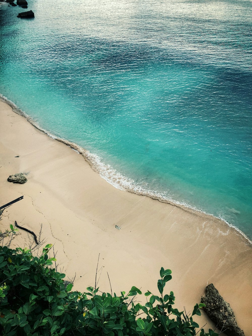 aerial photograph of seashore