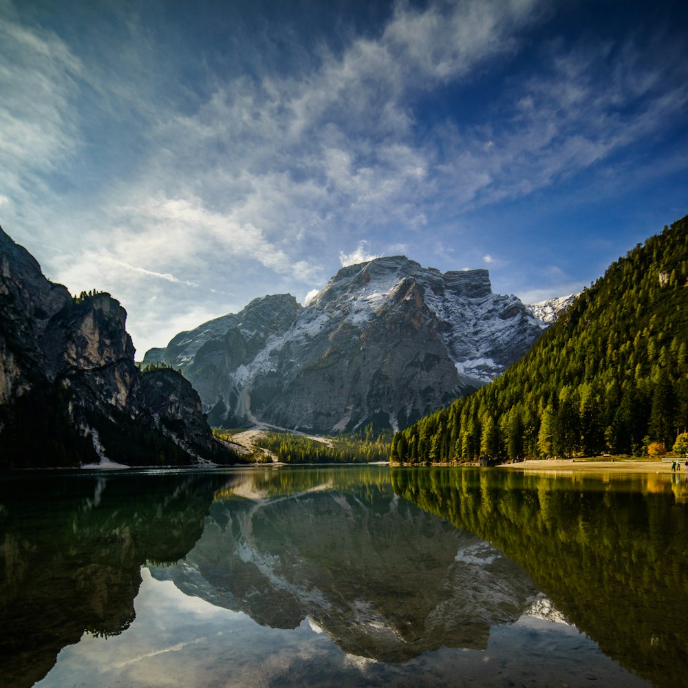 river between trees and mountains