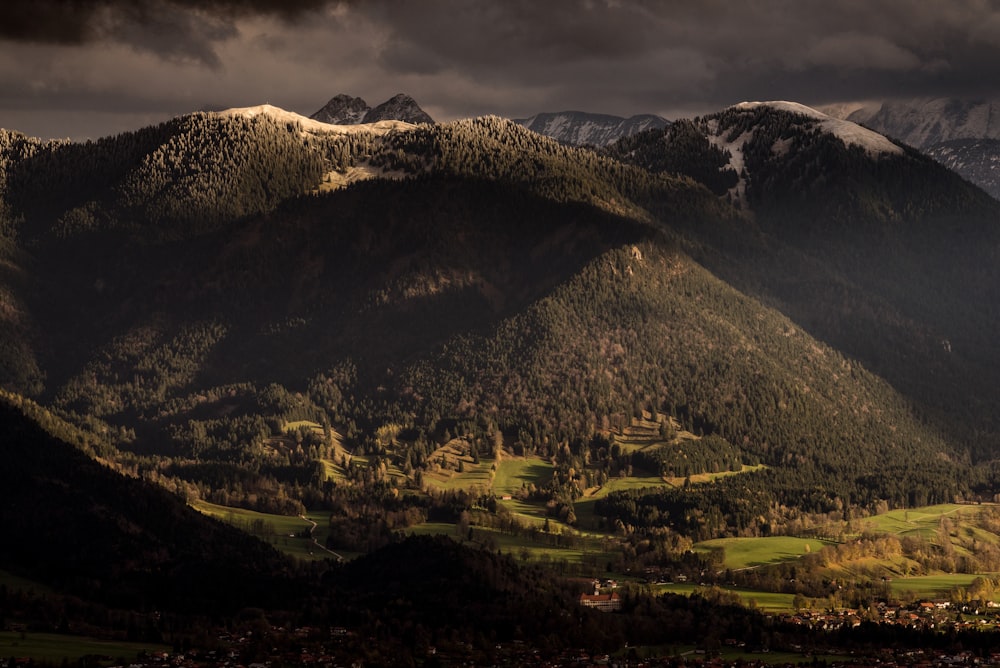 mountain and green tress