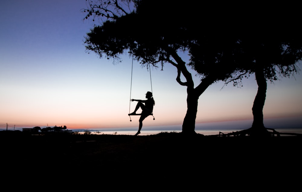 silhouette of tree near body of water