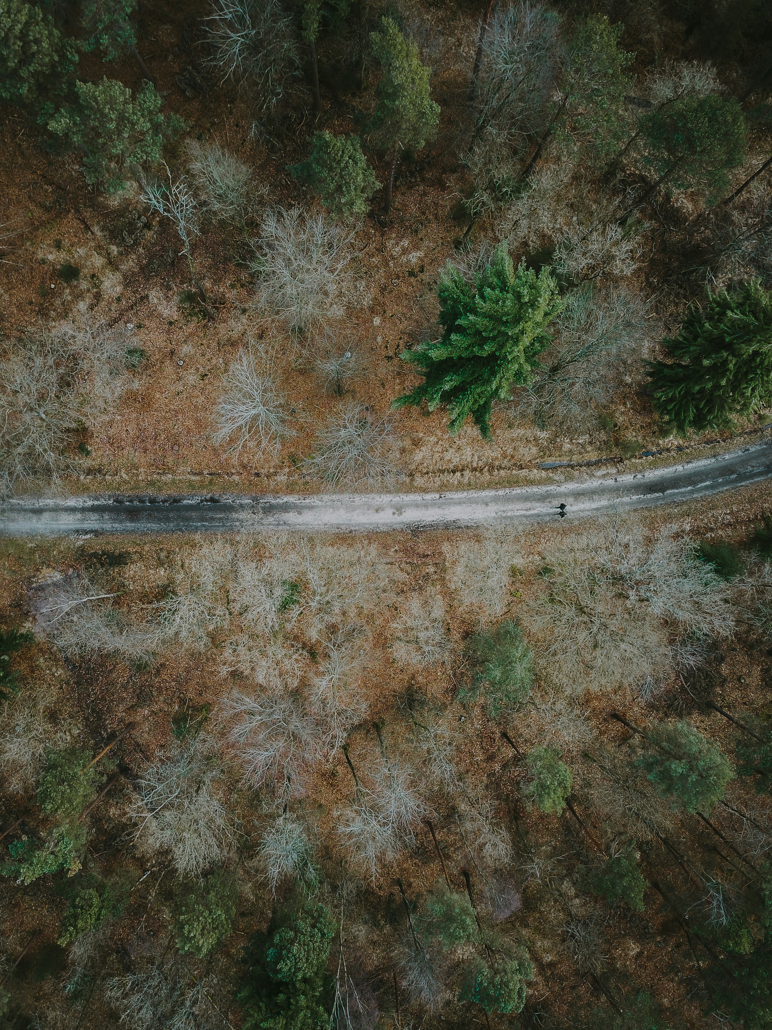 Photo by anniespratt