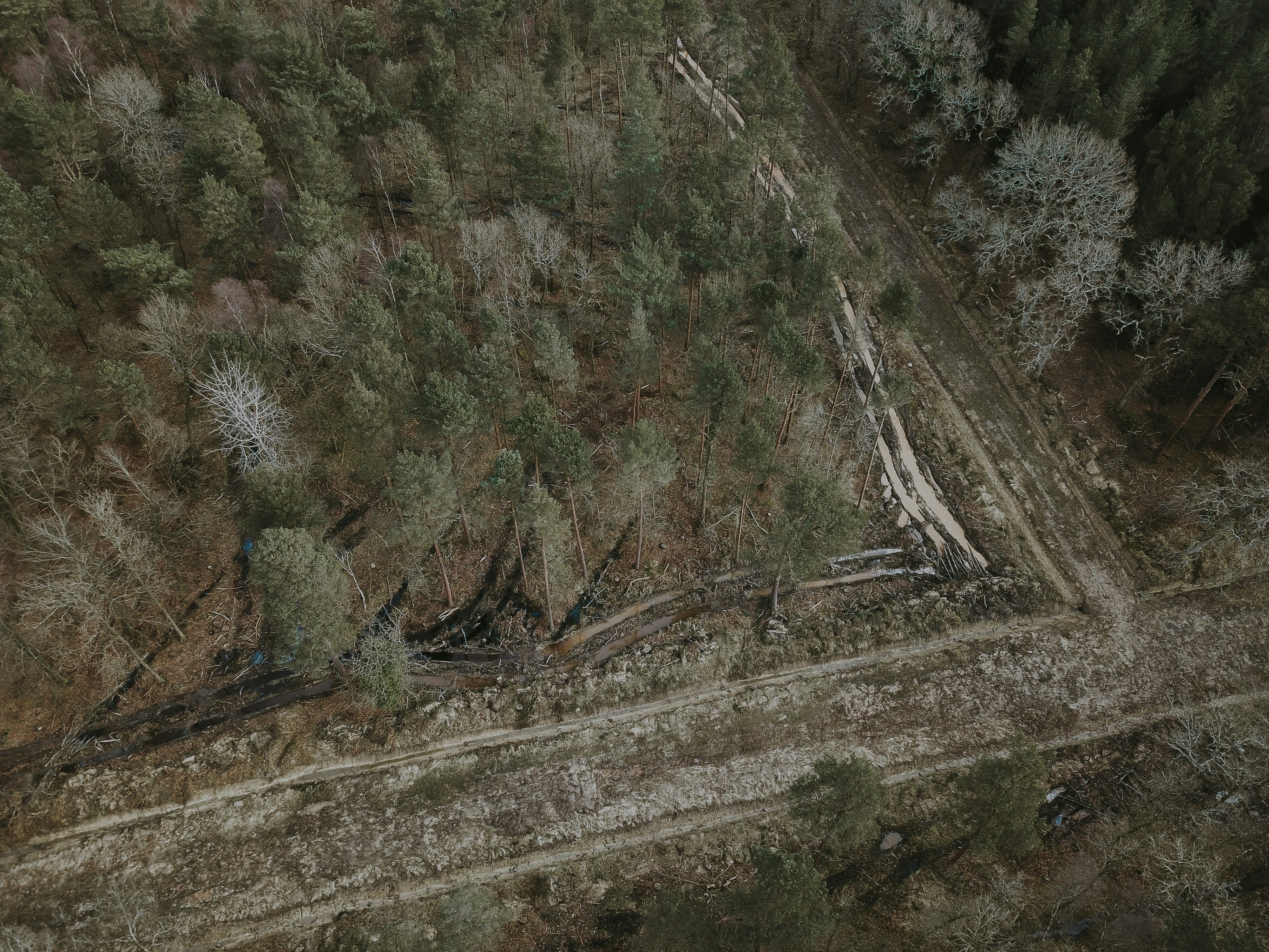 Photo by anniespratt