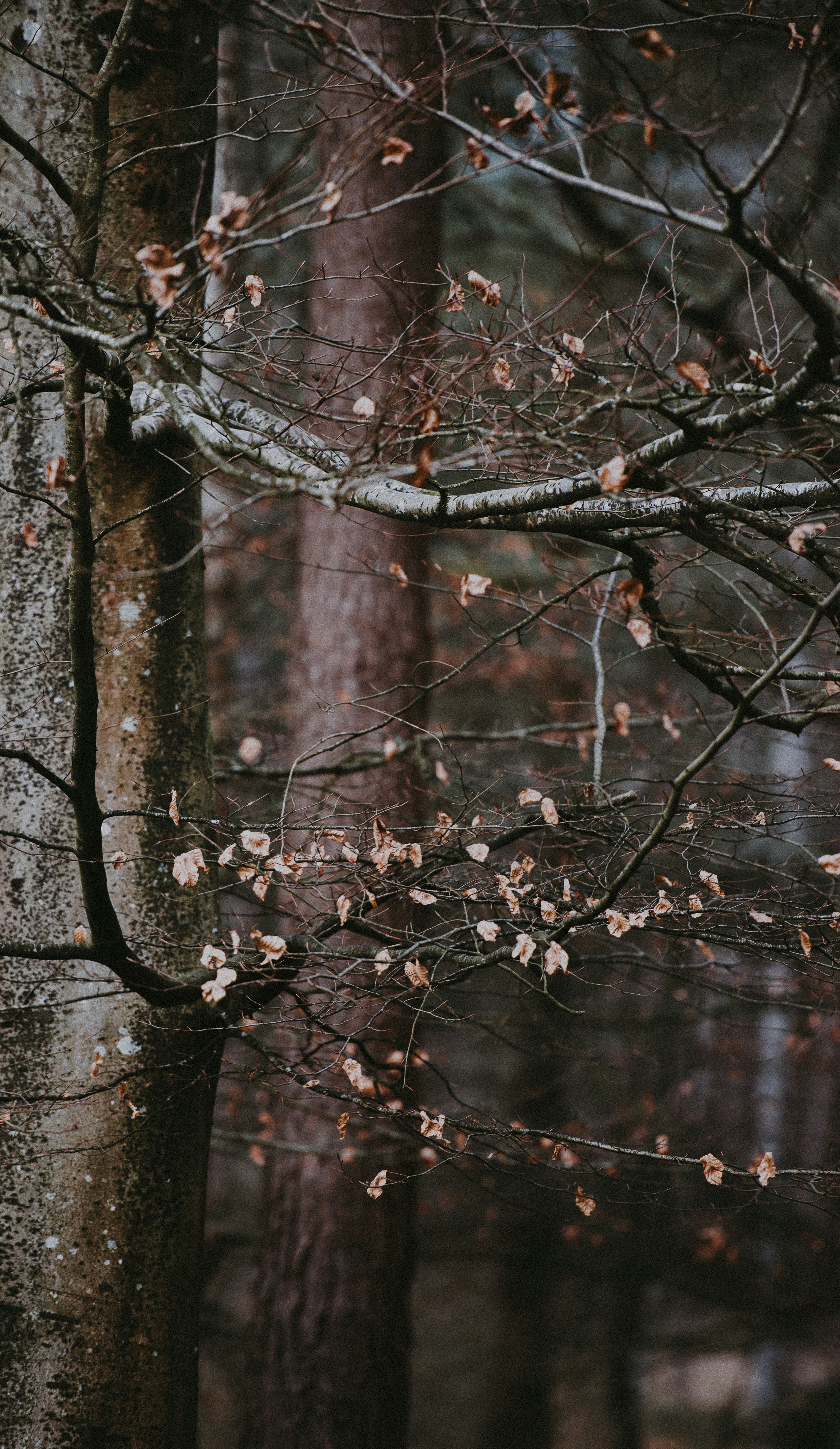 Photo by anniespratt