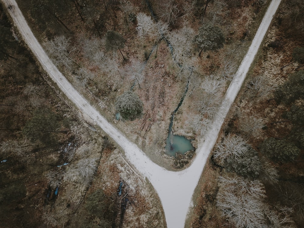 aerial view of road with trees