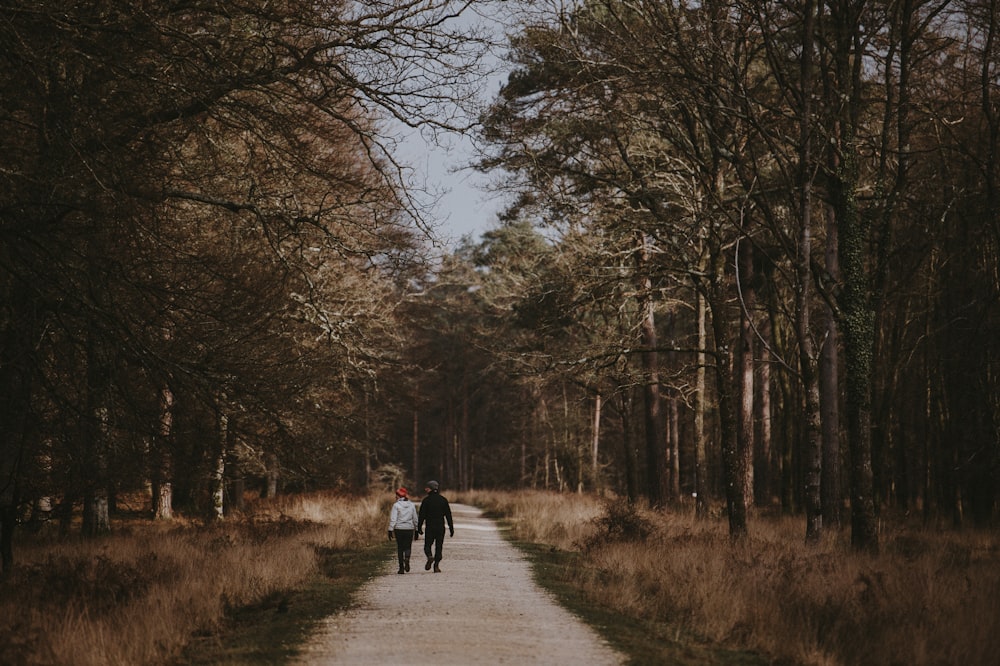 two person near trees