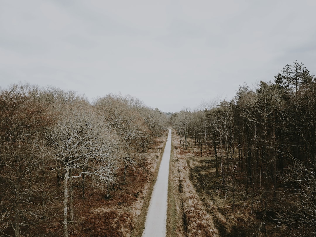 Nature reserve photo spot New Forest District Pagham