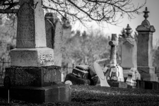 greyscale photo of cemetery showing 6 headstones and branches of tree