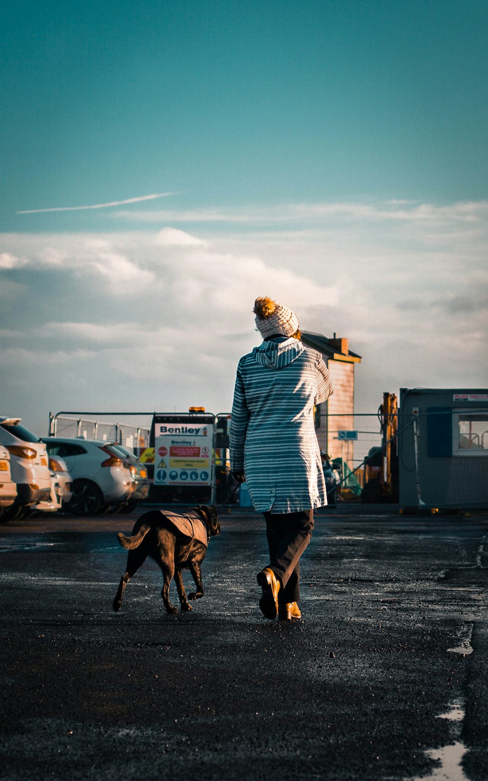 昼間、青空の下、犬と散歩する女性