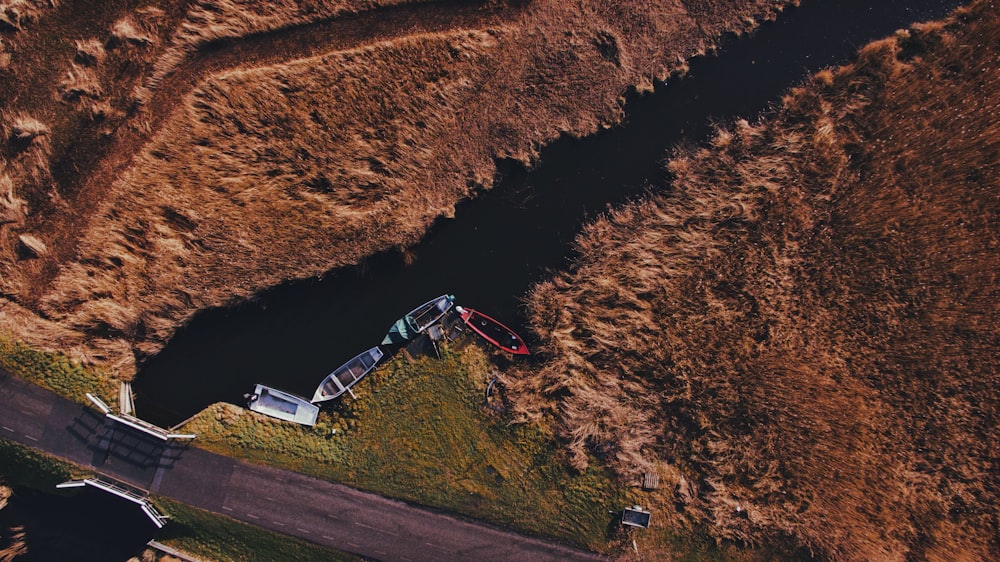 aerial photograph of three boat near grass field