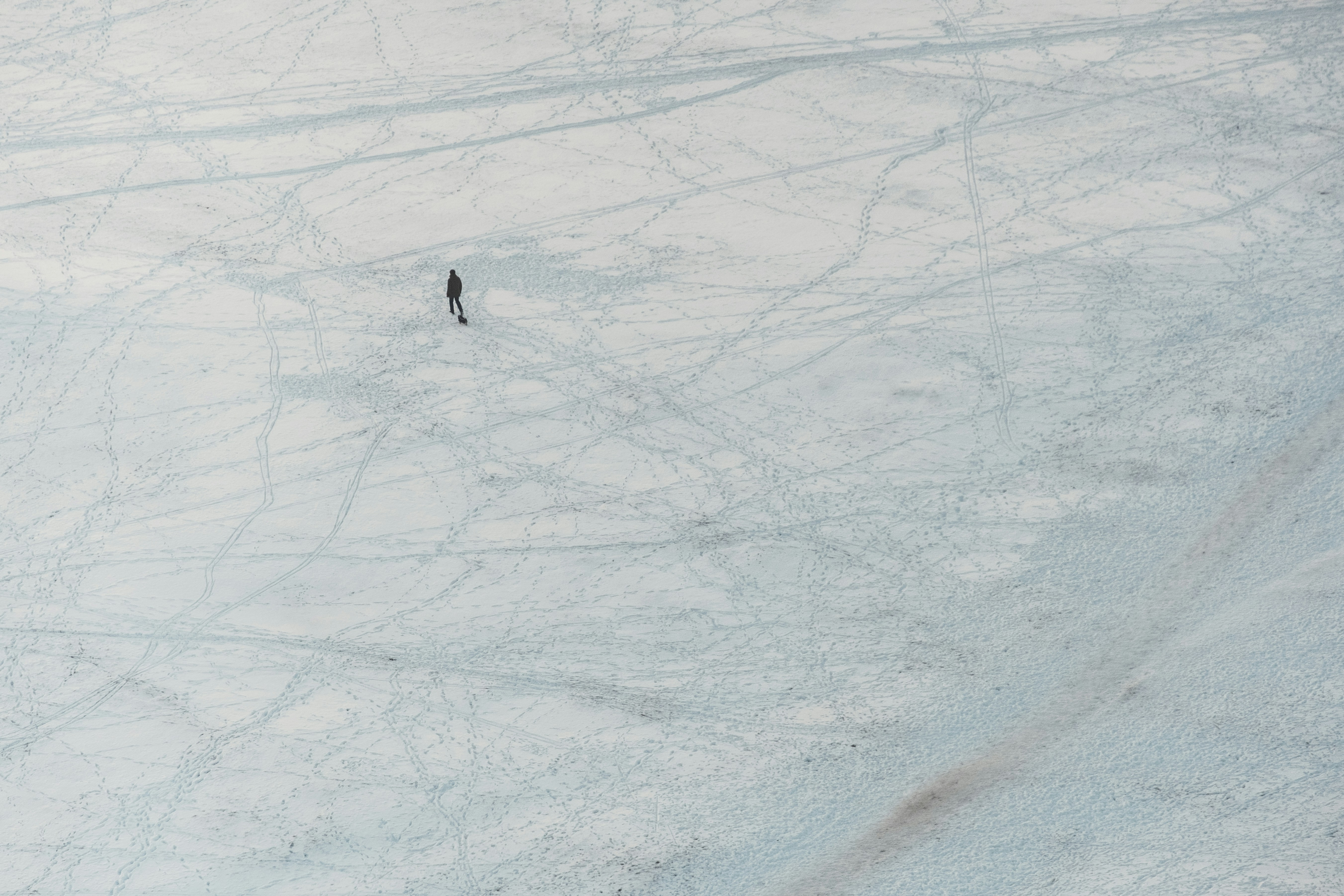 Qu'est-ce que course à