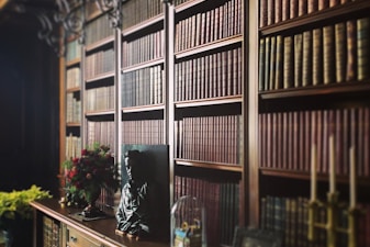 books in brown bookshelf