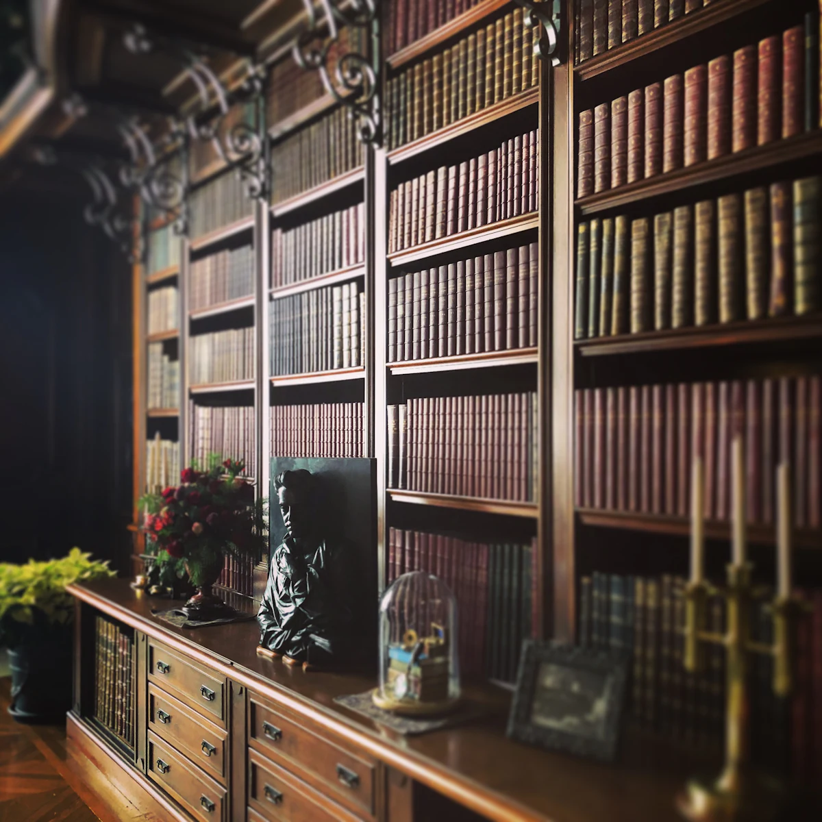 Rows of bound legal volumes in a quiet reading room