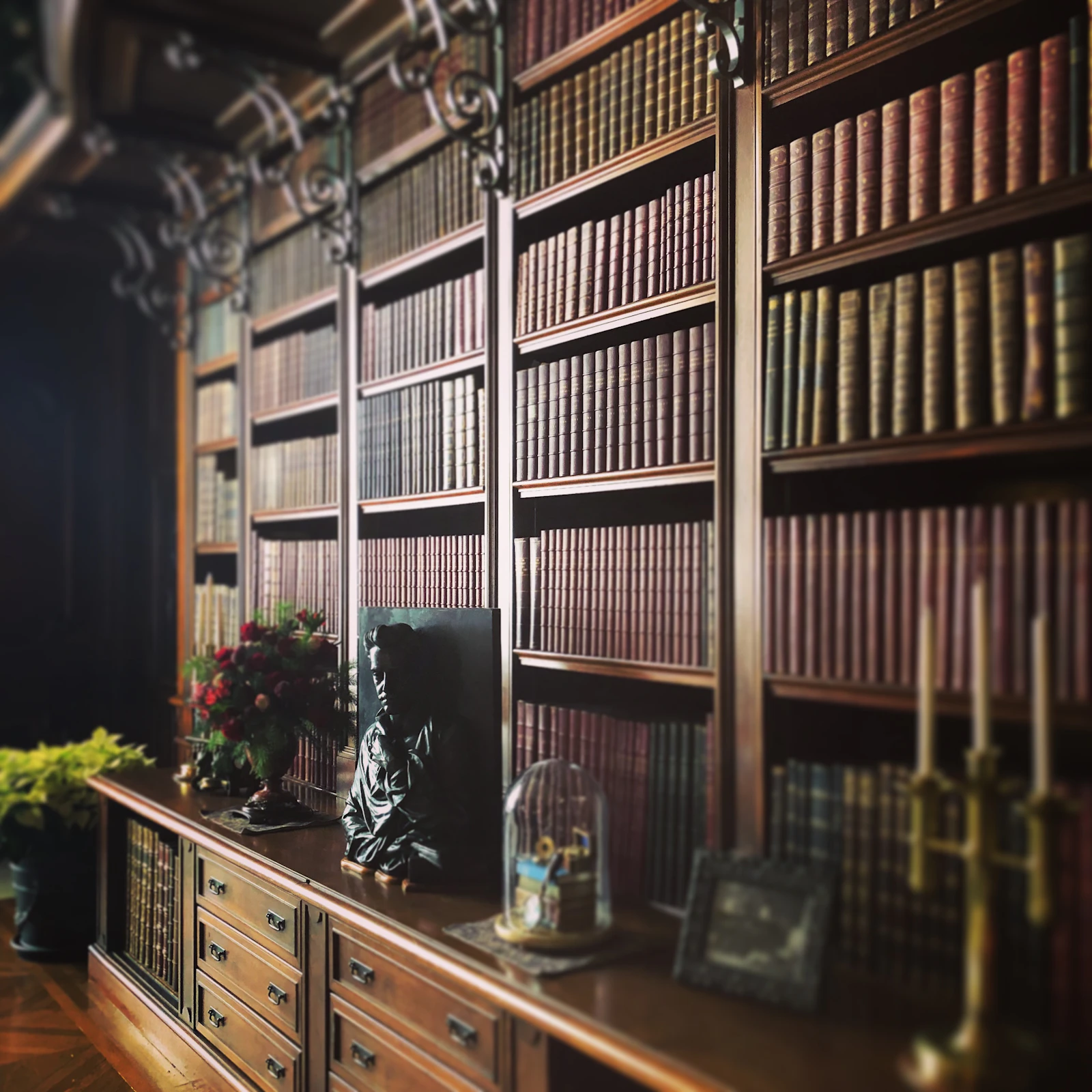 Rows of uniform bound volumes filling a warm wooden bookcase