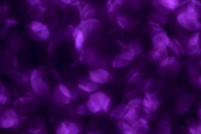 purple flowers violet teams background
