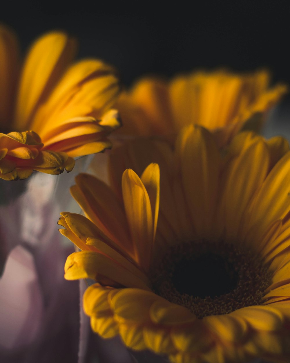 closeup photo of yellow sunflowers