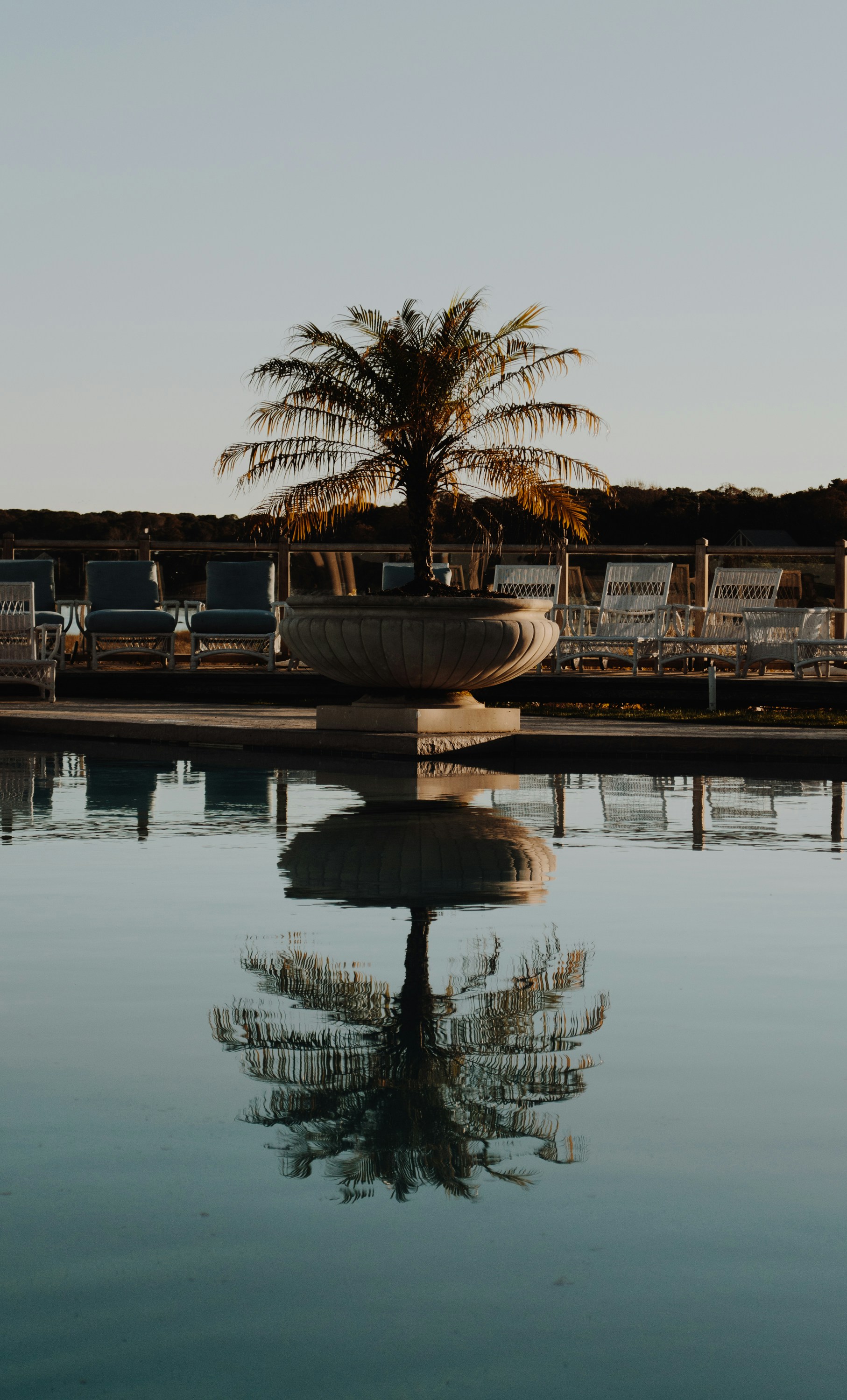 Photo by kellysikkema