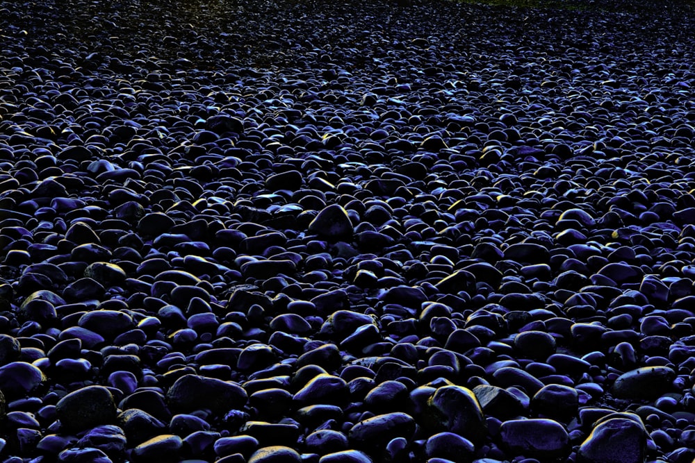 closeup photo of black and blue pebbles