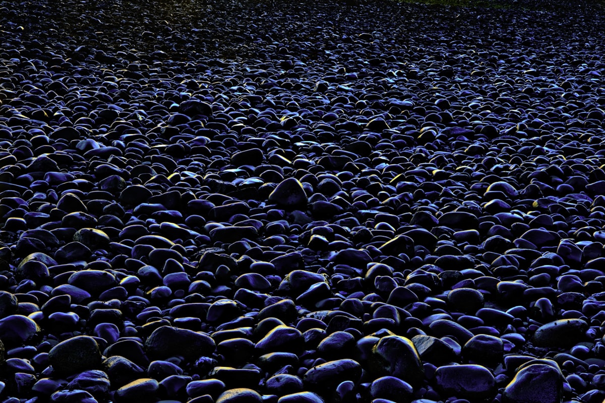 Black beach pebbles for modern landscape