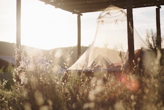 mosquito nets have saved so many lives