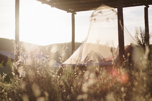 mosquito nets have saved so many lives