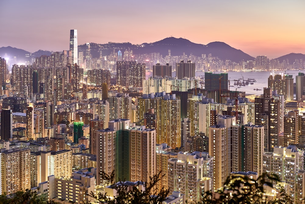 bird's eye view photography of high-rise buildings