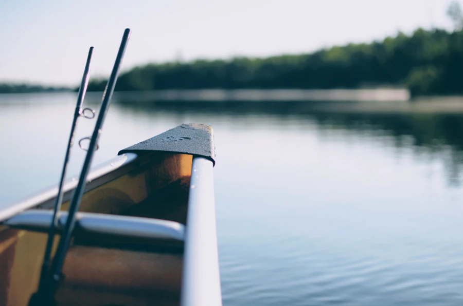 Lake fishing at dawn