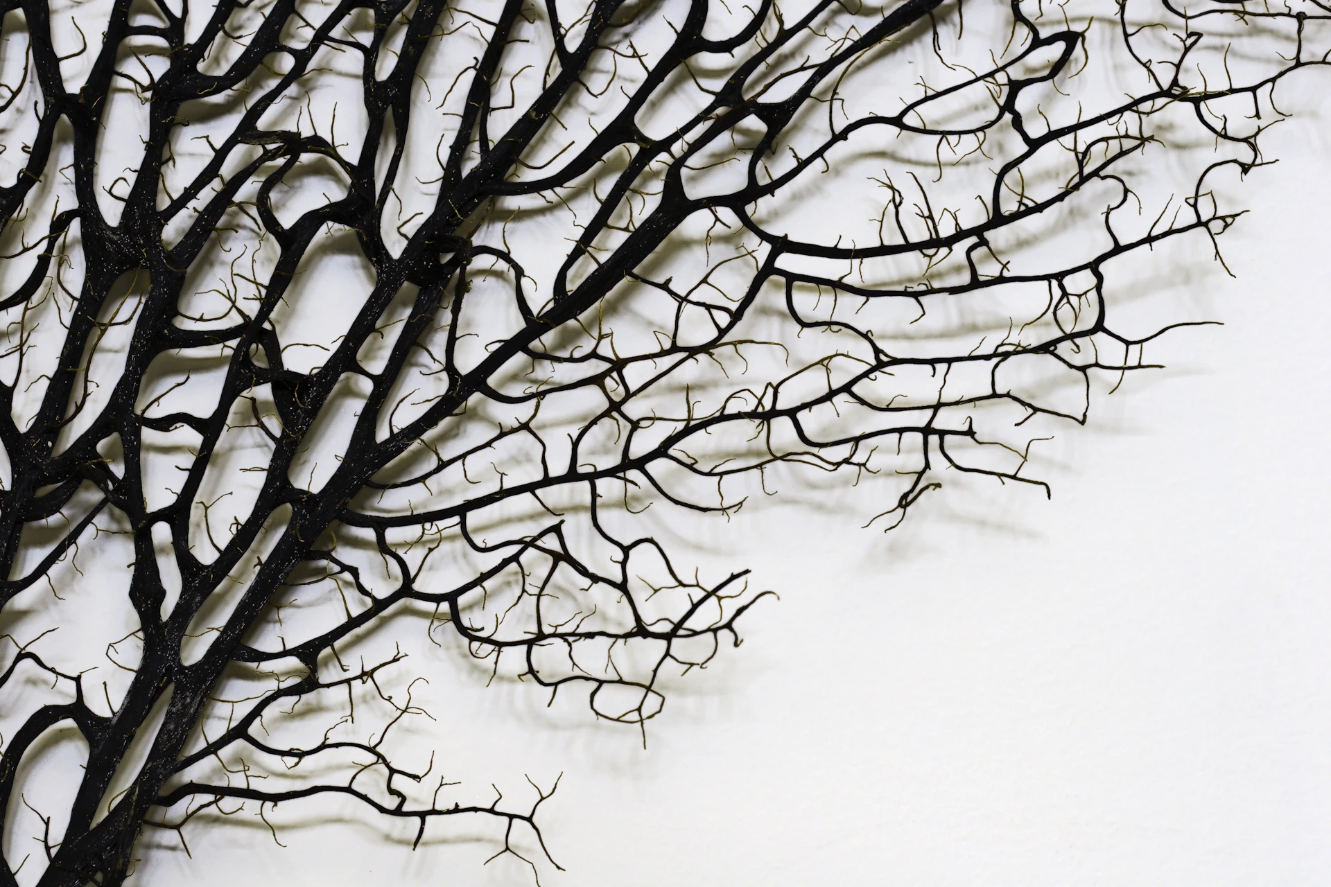 brown leafless tree