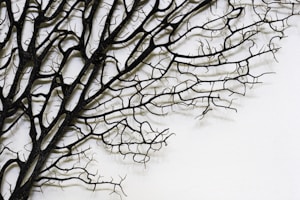 Entwined Paths