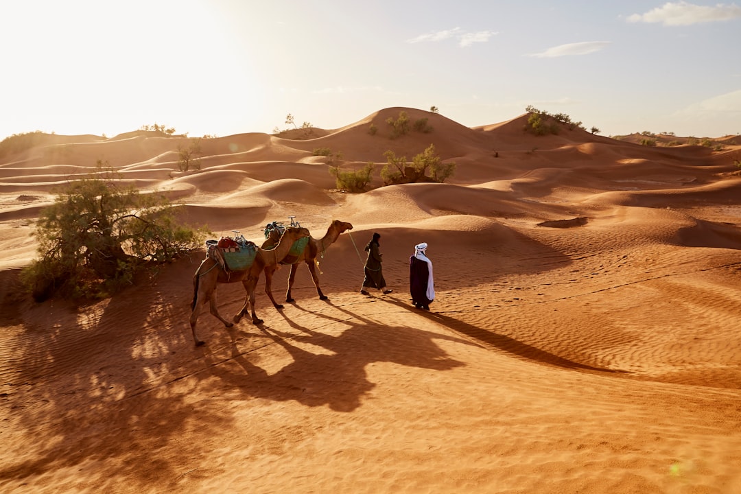 Desert photo spot Mhamid Erg Chegaga