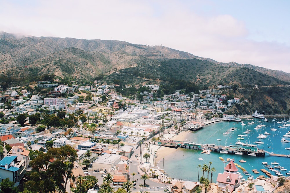 bird's-eye view of marina near mountains