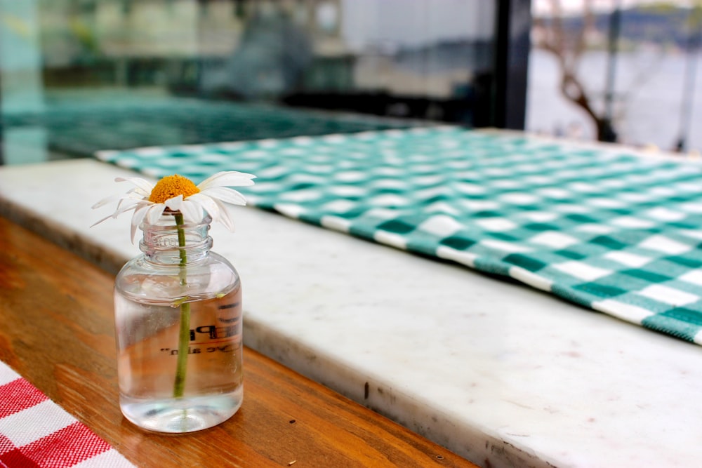 Oxeye daisy in clear glass jar near white and blue textile