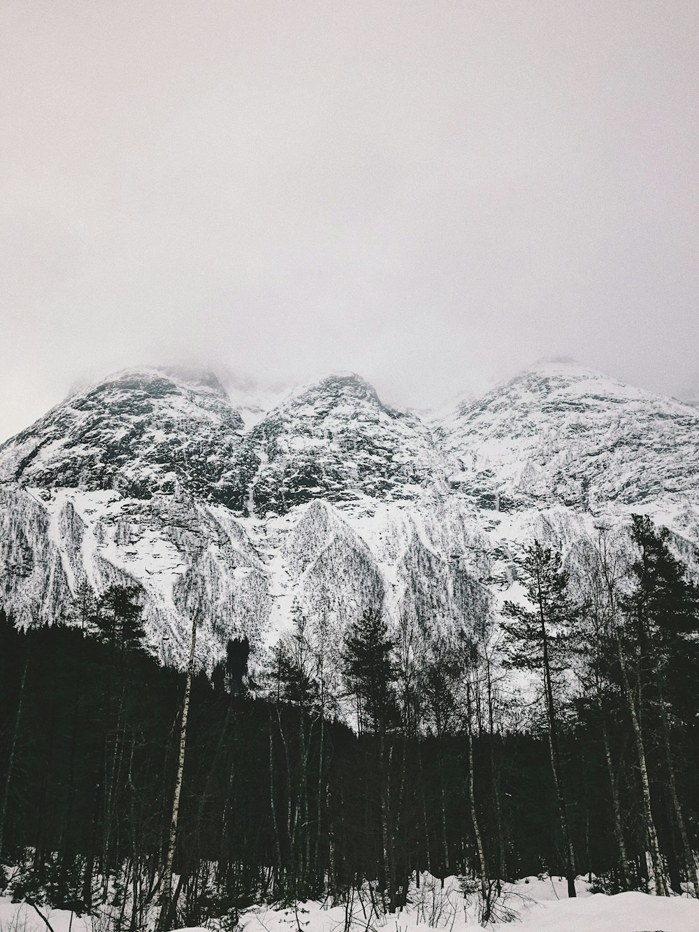 landscape photo of trees and mountain covered with snow