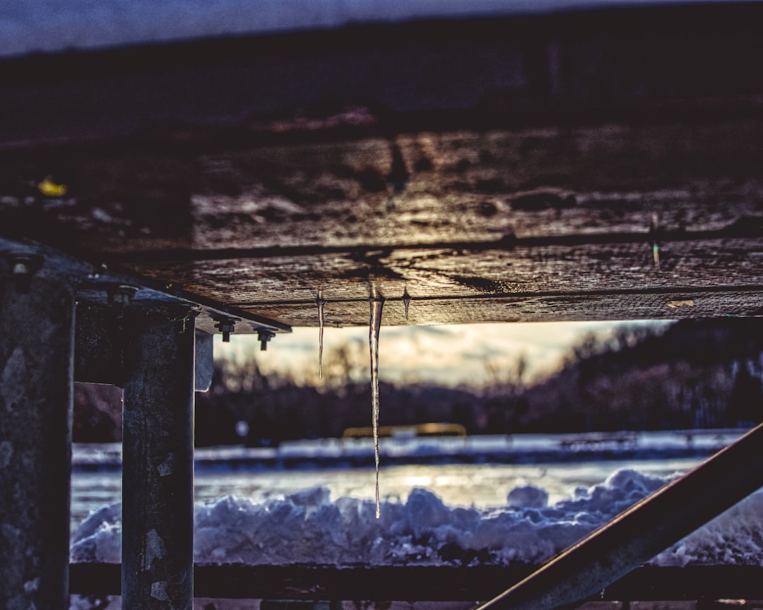 Bridge photo spot Morningside Park Humber Bay Arch Bridge