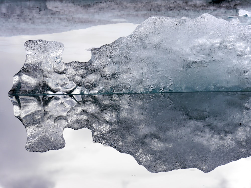 ice closeup photo