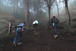A group of hikers is trekking up a wooded hillside surrounded by dense fog. The path is muddy and uneven, with rough wooden railings on the sides. Tall trees with sparse foliage are visible, enhancing the misty atmosphere.