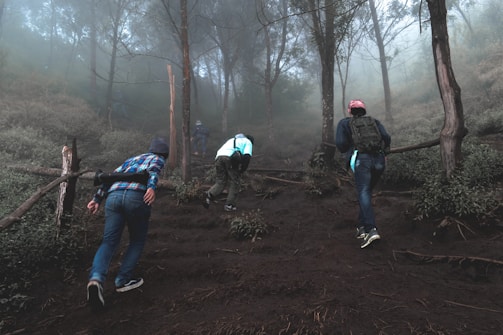 A group of hikers is trekking up a wooded hillside surrounded by dense fog. The path is muddy and uneven, with rough wooden railings on the sides. Tall trees with sparse foliage are visible, enhancing the misty atmosphere.