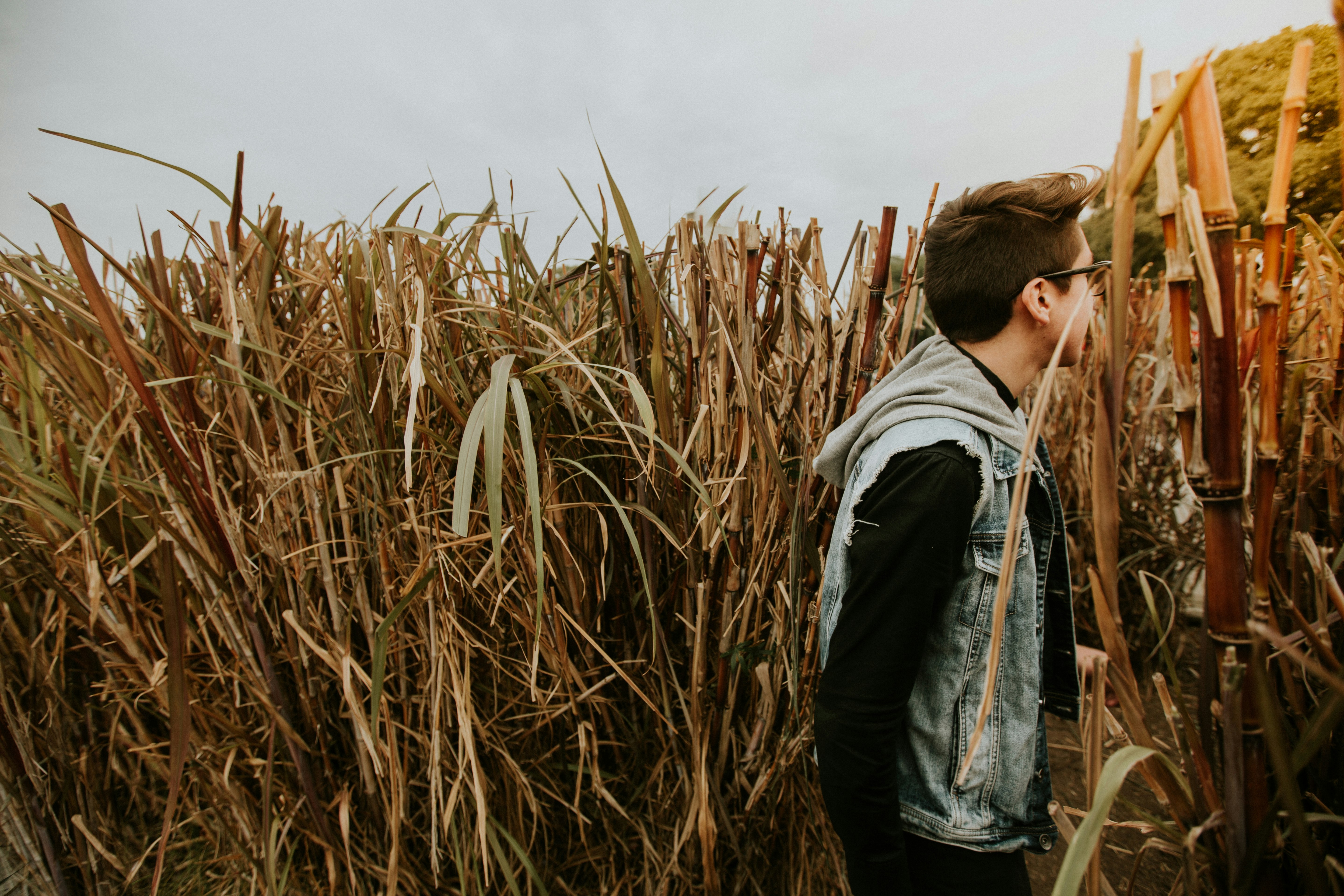 man standing on dried sugar cane field