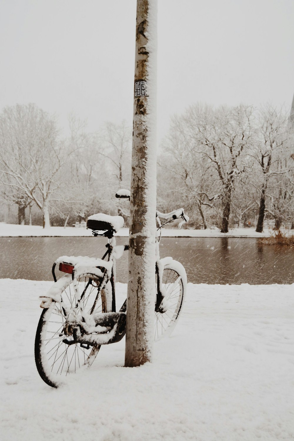 black bicycle parked near utility post