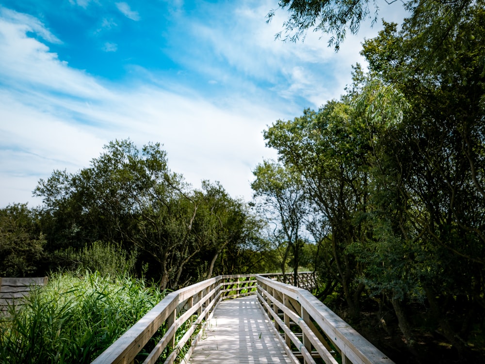 beige wooden bridge on between trees