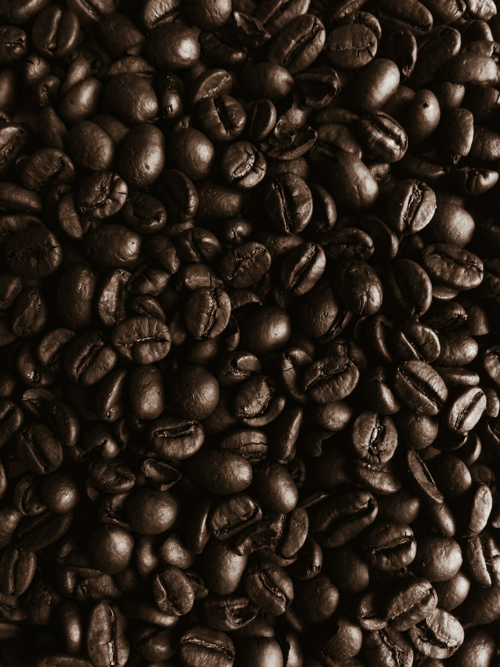 pile of coffee beans