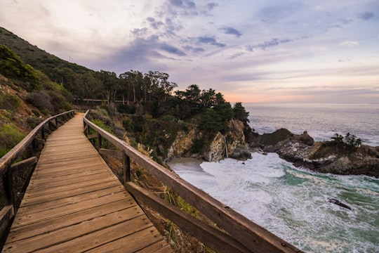 brown wooden dock on body of water during daytime in Julia Pfeiffer Burns State Park, McWay Falls United States
