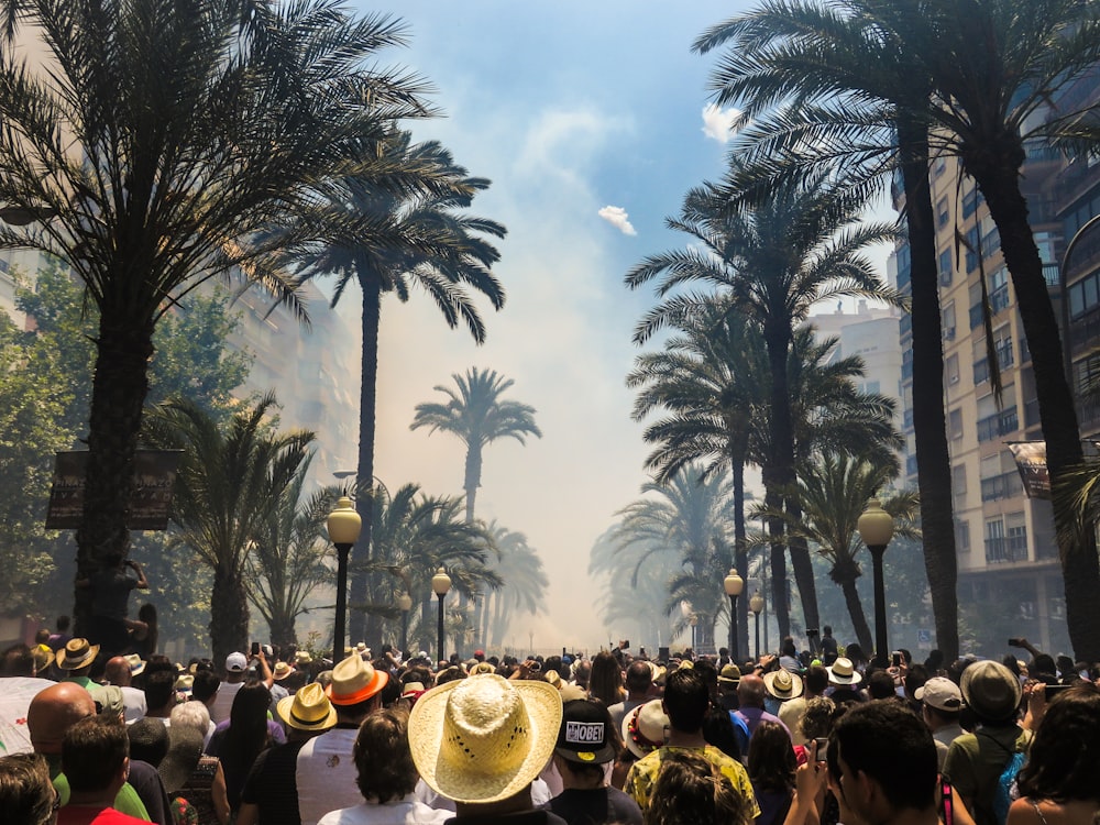 people standing on road between coconut palms surrounded by smoke