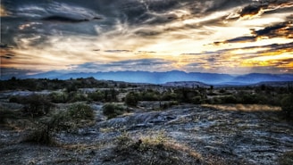 A moody, editorial-style photograph of a ranch at sunset, capturing the warm, rich western landscape.