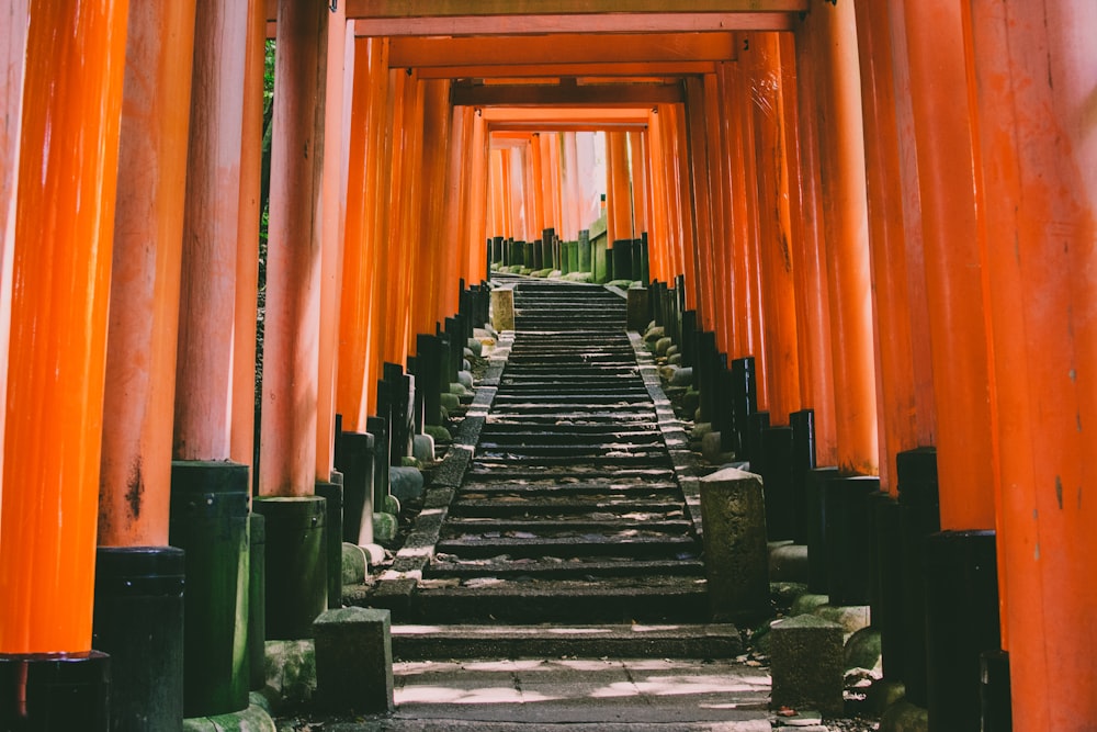 orange concrete torii