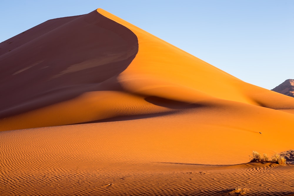 brown desert