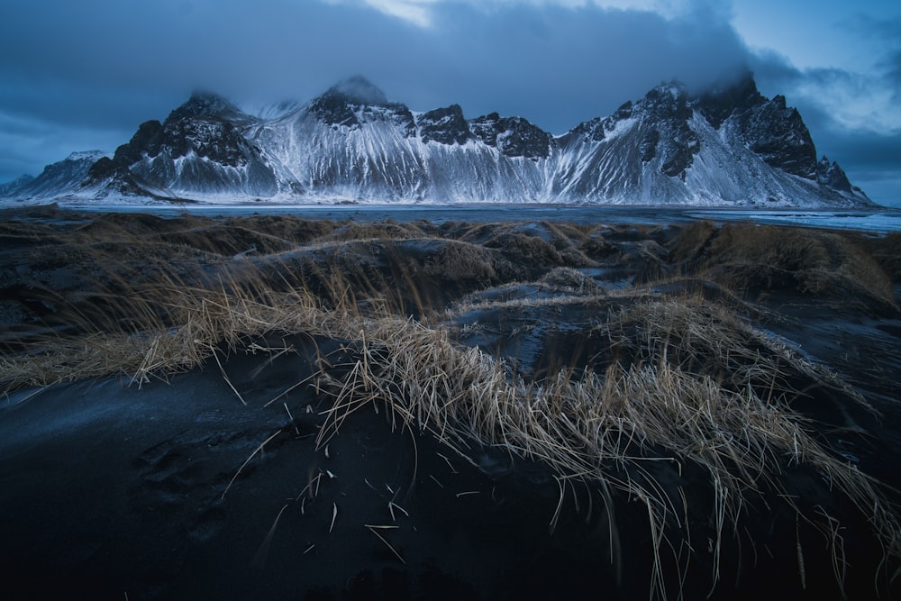 brown grass field in distance glacier mountain at daytime