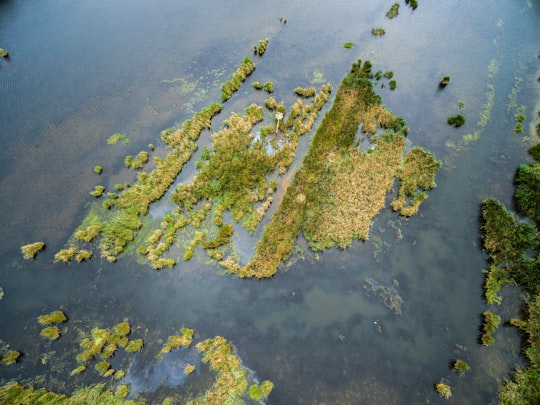 aerial photography of island in Joggins Canada