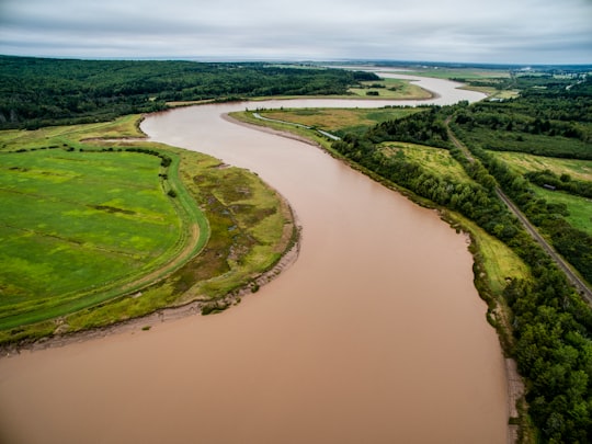 aerial photo of brown river between green grass field at daytime in Joggins Canada